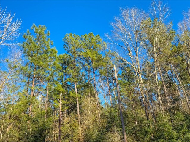 TBD Bowie Rd, Kountze, TX 77625