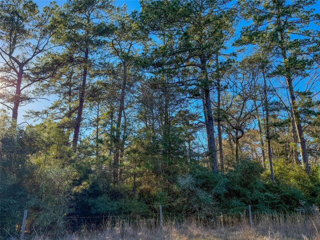 TBD Bowie Rd, Kountze, TX 77625