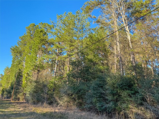 TBD Bowie Rd, Kountze, TX 77625