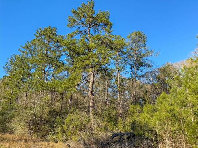 TBD Bowie Rd, Kountze, TX 77625