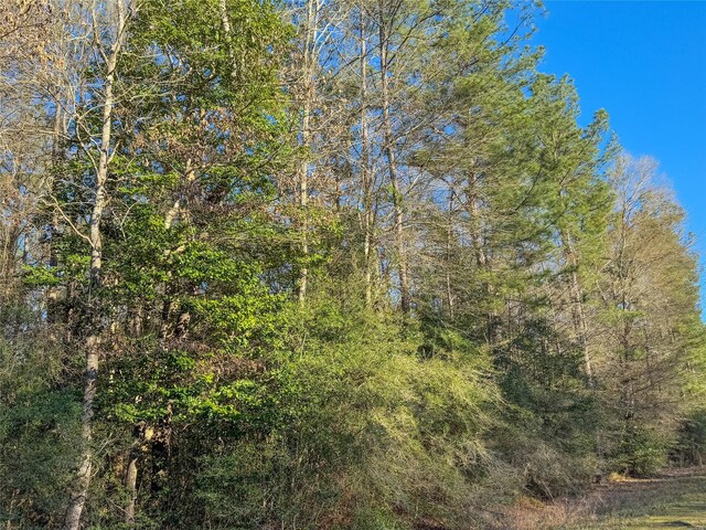 TBD Bowie Rd, Kountze, TX 77625