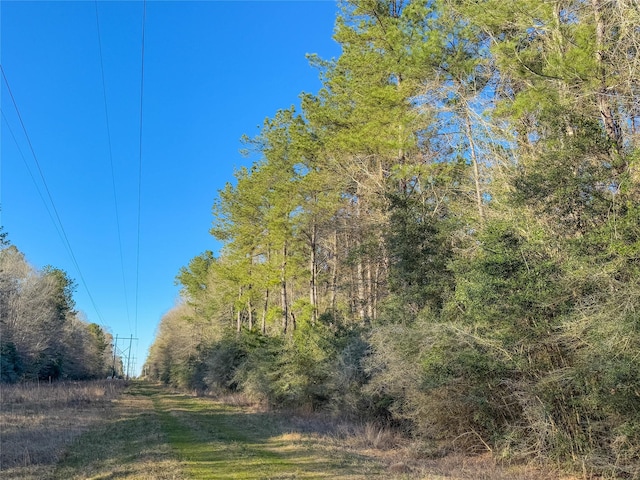 TBD Bowie Rd, Kountze, TX 77625