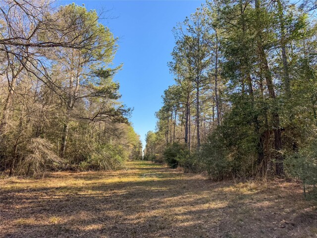 TBD Bowie Rd, Kountze, TX 77625
