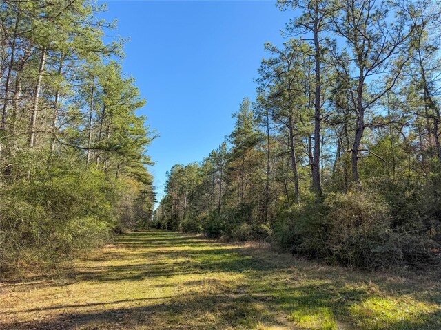 TBD Bowie Rd, Kountze, TX 77625