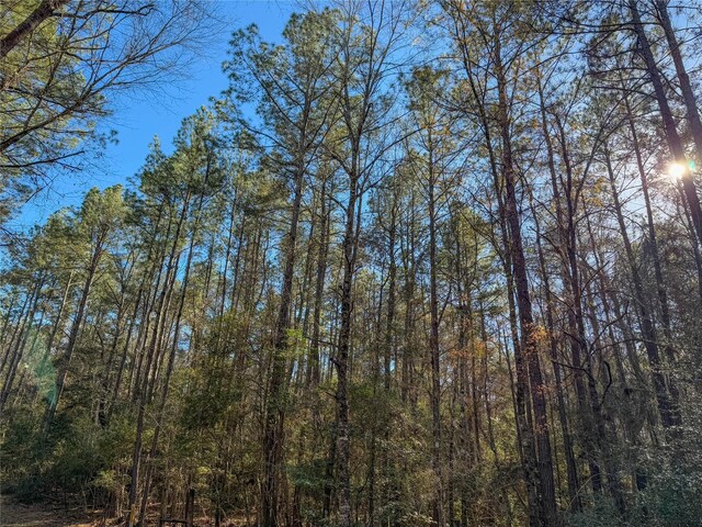 TBD Bowie Rd, Kountze, TX 77625