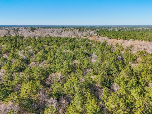 TBD Bowie Rd, Kountze, TX 77625