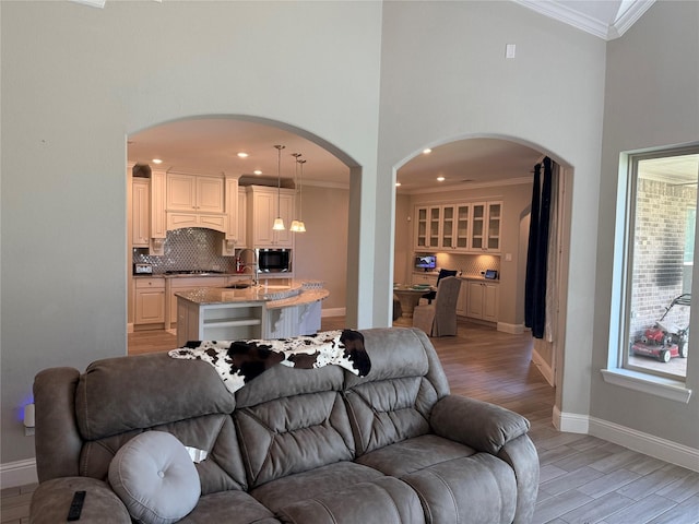 29431 Amber Meadows Ct, Katy, TX 77494 - living room featuring baseboards, arched walkways, light wood-type flooring, and crown molding