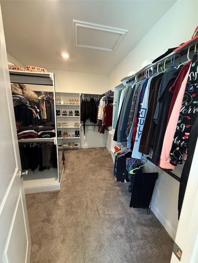29431 Amber Meadows Ct, Katy, TX 77494 - spacious closet with carpet flooring and attic access