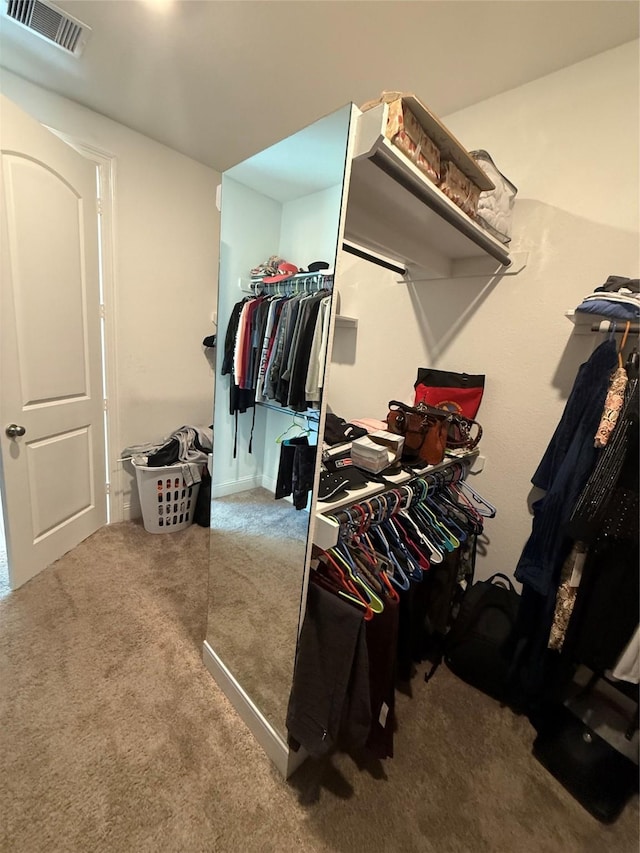 29431 Amber Meadows Ct, Katy, TX 77494 - spacious closet with carpet flooring and visible vents