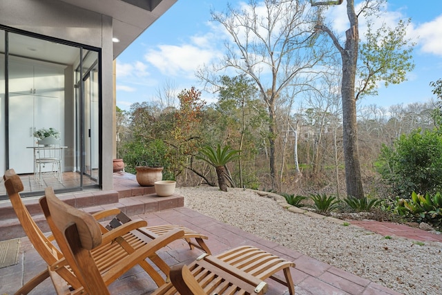 9171 Briar Frst, Houston, TX 77024 - view of patio / terrace