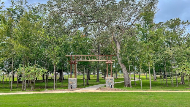 8247 Red Shiner Way, Fulshear, TX 77441 - view of community featuring a yard