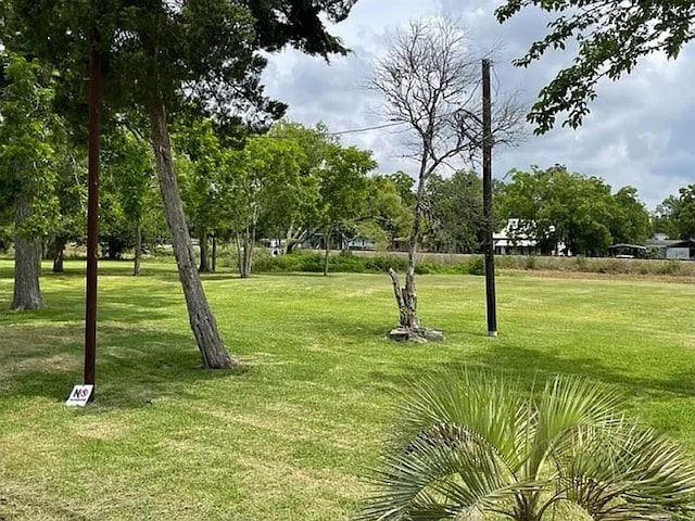 8312 Neville Ave, Hitchcock, TX 77563 - photo 1