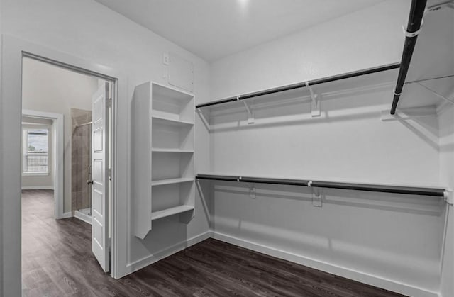 716 Ivory Creek Ct, Willis, TX 77378 - walk in closet with dark wood-style flooring