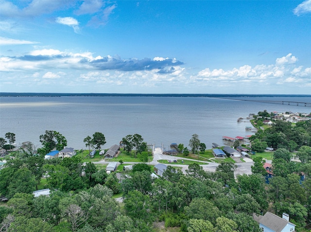 200 Canary St, Point Blank, TX 77364 - aerial view of a nearby body of water