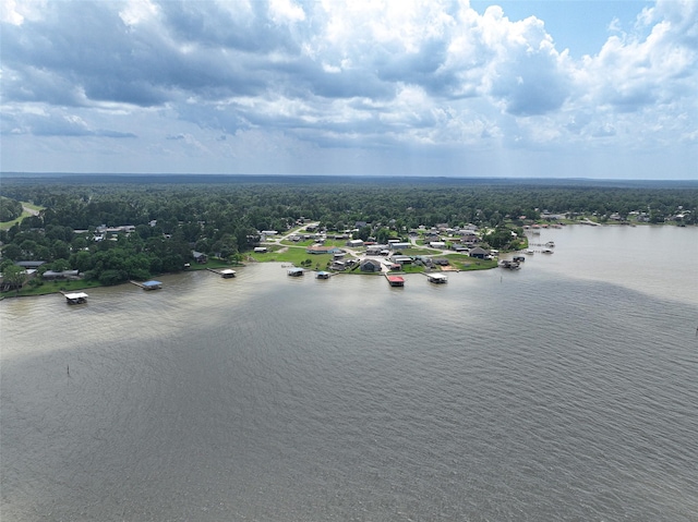 200 Canary St, Point Blank, TX 77364 - drone / aerial view of a large body of water