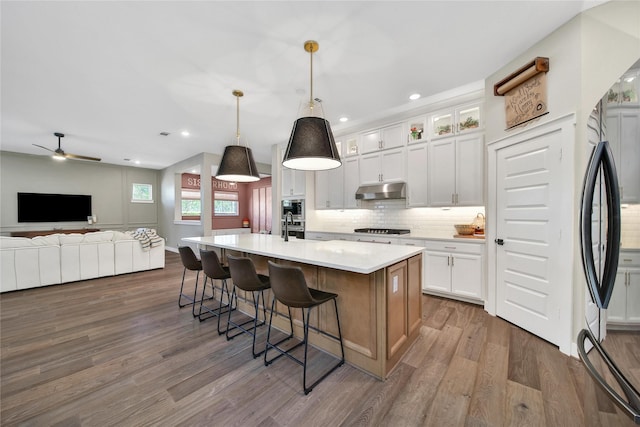325 Bromley Square Dr, Montgomery, TX 77316 - kitchen featuring under cabinet range hood, dark wood-style flooring, decorative backsplash, and appliances with stainless steel finishes