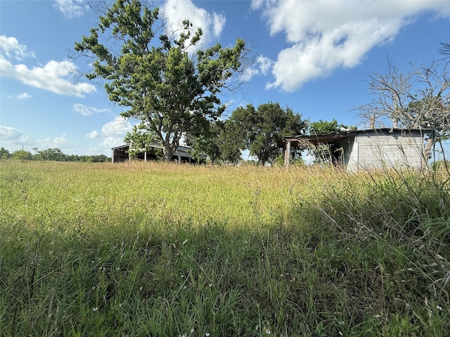 202 Cedar Creek Dr, Needville, TX 77461 - photo 11