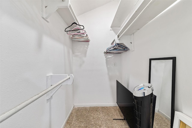 3358 County Road 172, Alvin, TX 77511 - spacious closet with light carpet