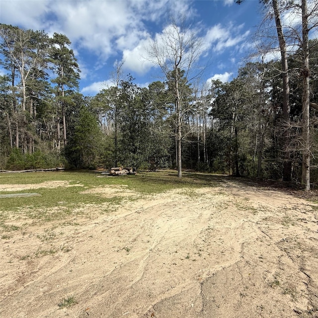 view of yard featuring a wooded view