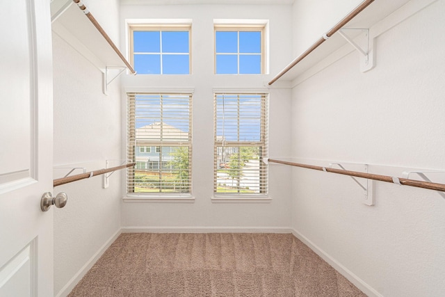 210 Fulton Station Dr, Houston, TX 77009 - walk in closet with carpet floors