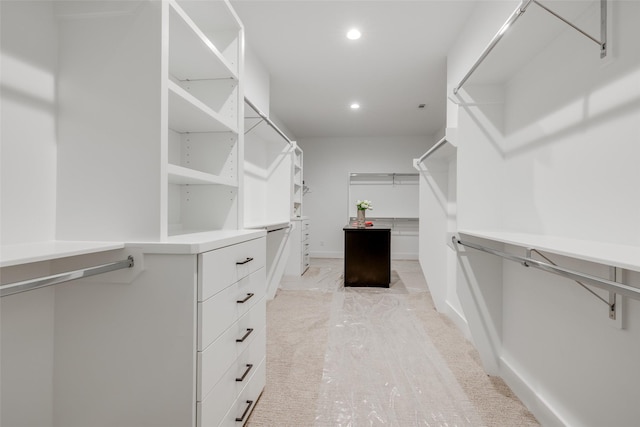 view of walk in closet
