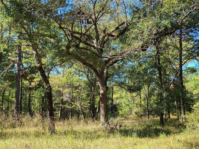 500 S Pine Lake Rd, Montgomery, TX 77316