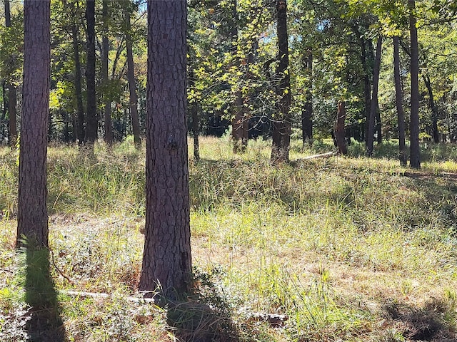500 S Pine Lake Rd, Montgomery, TX 77316