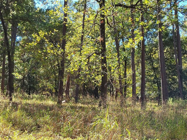 500 S Pine Lake Rd, Montgomery, TX 77316