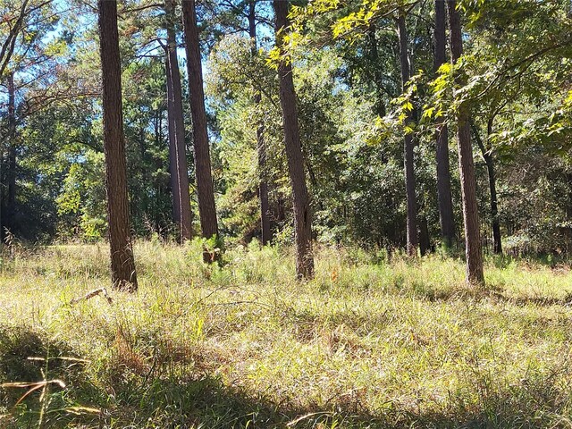500 S Pine Lake Rd, Montgomery, TX 77316