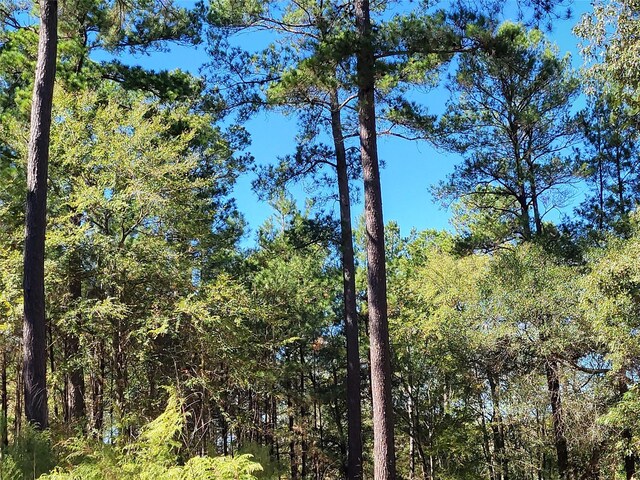 500 S Pine Lake Rd, Montgomery, TX 77316