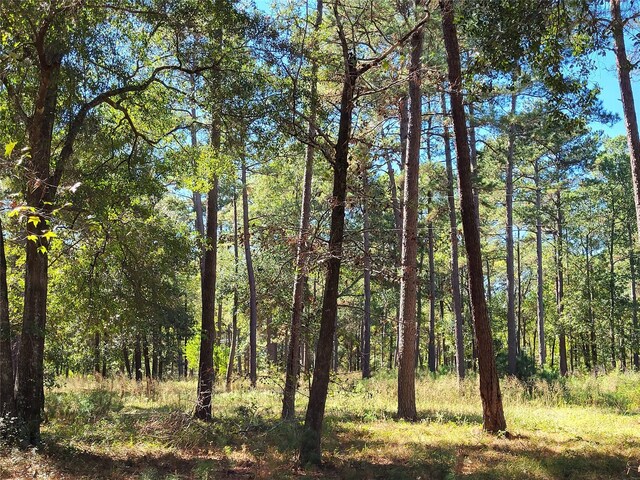 500 S Pine Lake Rd, Montgomery, TX 77316