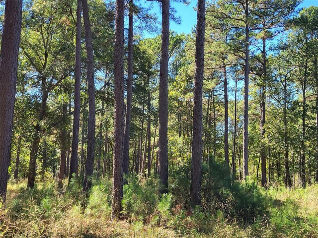 500 S Pine Lake Rd, Montgomery, TX 77316