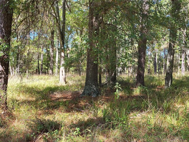 500 S Pine Lake Rd, Montgomery, TX 77316