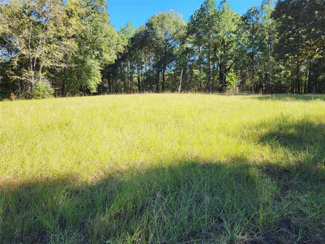 500 S Pine Lake Rd, Montgomery, TX 77316