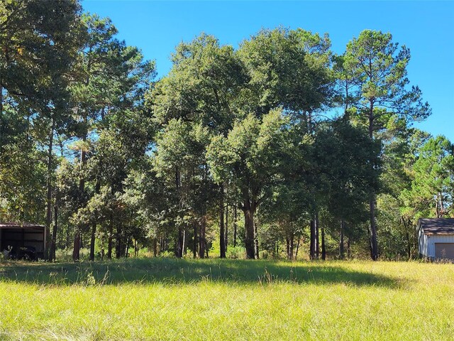 500 S Pine Lake Rd, Montgomery, TX 77316