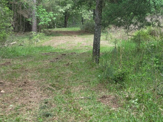 500 S Pine Lake Rd, Montgomery, TX 77316