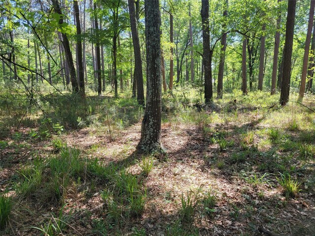 500 S Pine Lake Rd, Montgomery, TX 77316