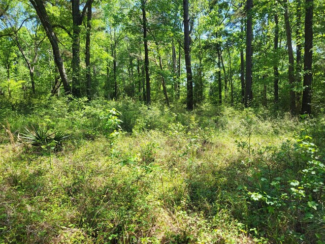 500 S Pine Lake Rd, Montgomery, TX 77316