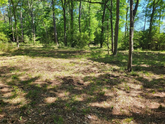 500 S Pine Lake Rd, Montgomery, TX 77316