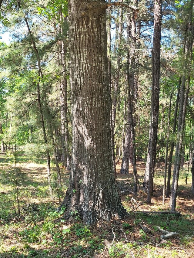 500 S Pine Lake Rd, Montgomery, TX 77316