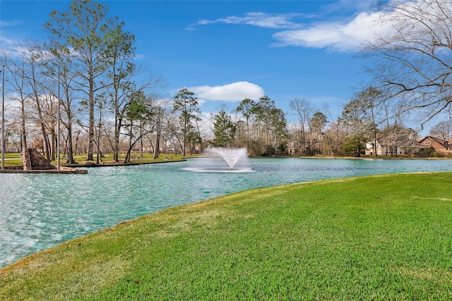 16002 Castaway Ct, Crosby, TX 77532 - water view