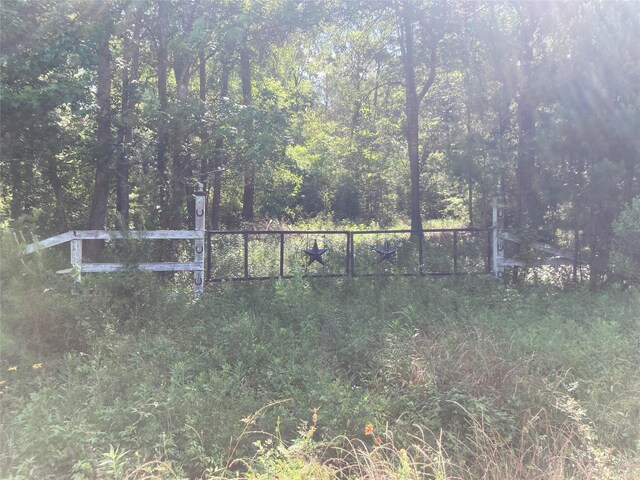 0 Lee Dr, Cleveland, TX 77328 - photo 2