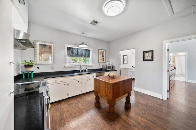 275 Pashun Ln, New Waverly, TX 77358 - kitchen with a sink, extractor fan, stainless steel appliances, dark wood-style flooring, and visible vents