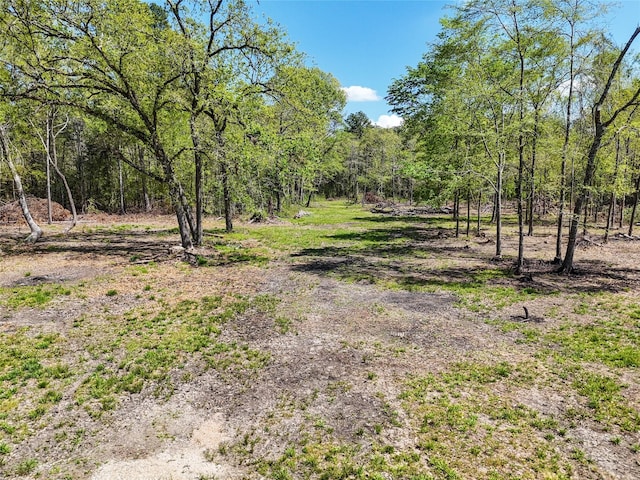 275 Pashun Ln, New Waverly, TX 77358 - view of nature with a forest view
