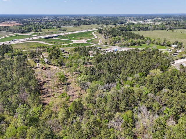 275 Pashun Ln, New Waverly, TX 77358 - drone / aerial view with a rural view