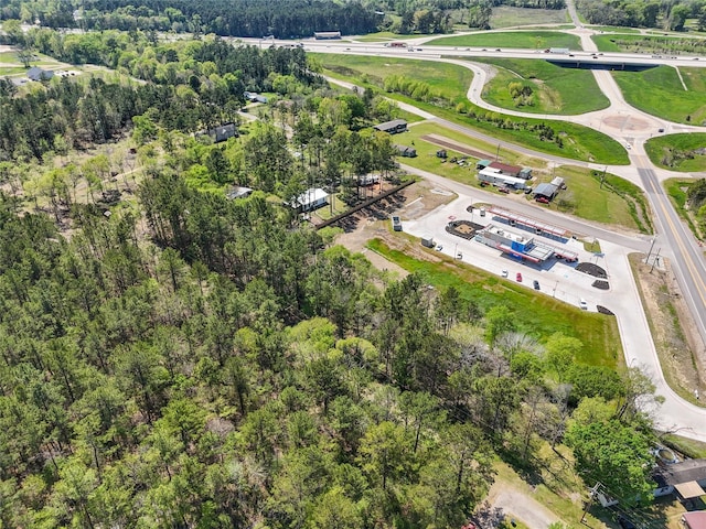 275 Pashun Ln, New Waverly, TX 77358 - aerial view