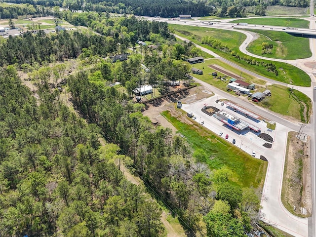 275 Pashun Ln, New Waverly, TX 77358 - birds eye view of property