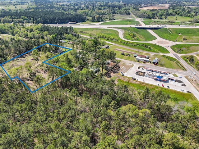 275 Pashun Ln, New Waverly, TX 77358 - drone / aerial view with a view of trees