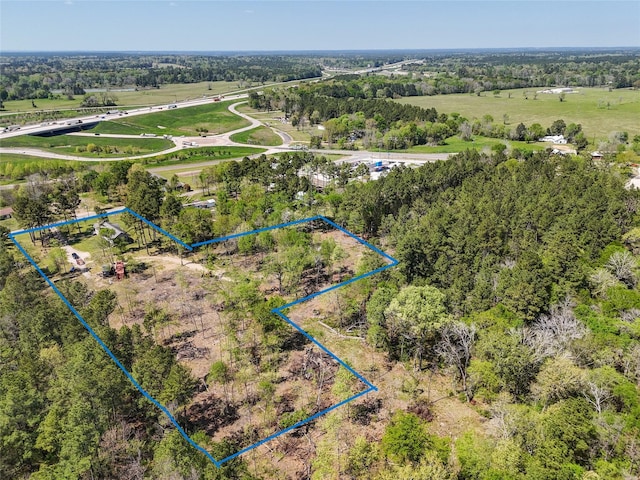 275 Pashun Ln, New Waverly, TX 77358 - drone / aerial view with a rural view