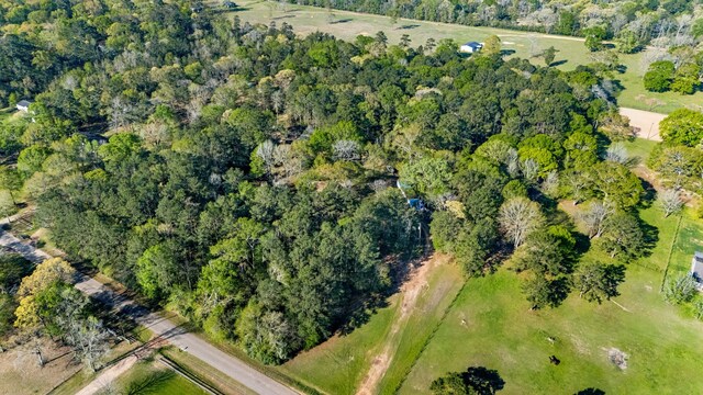8441 Adcock Acres Dr, Conroe, TX 77303 - photo 4